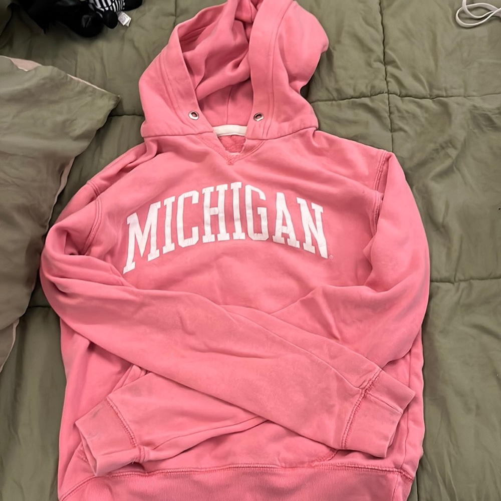 Pink Michigan Sweatshirt